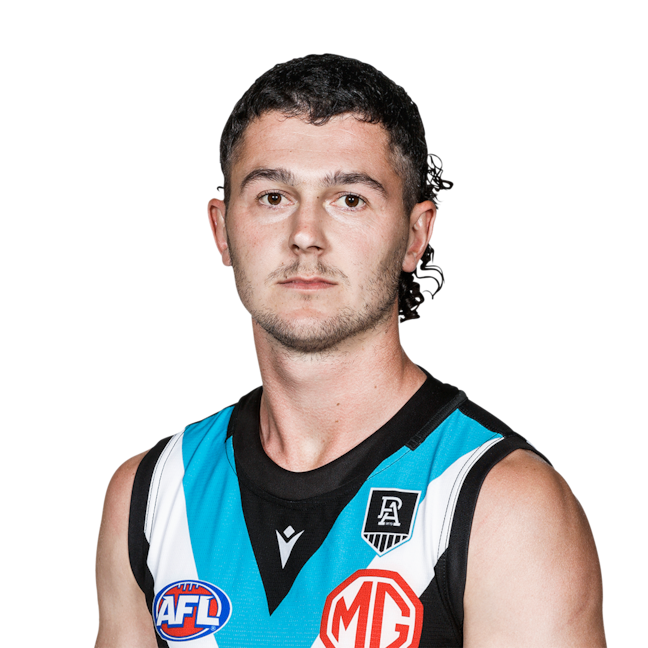 Darcy Byrne-Jones profile picture
